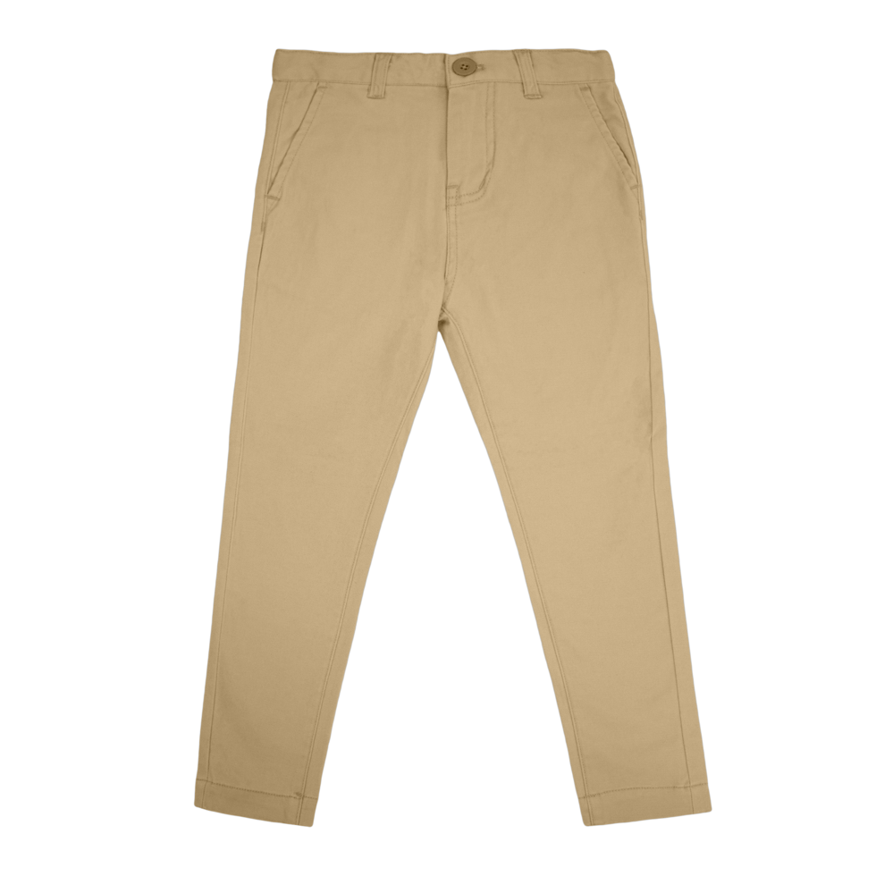 Beige Slim Fit Chino